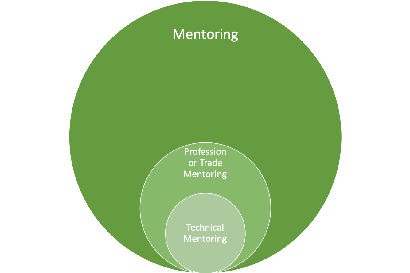 Introducing technical mentoring